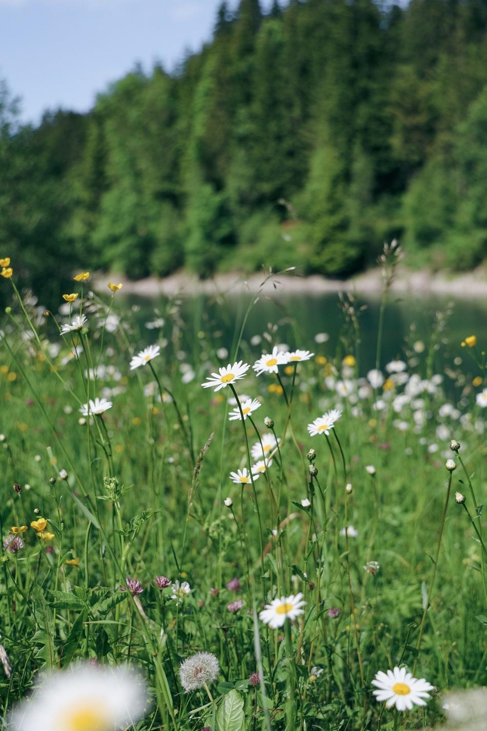 ภาพกิจกรรมหน่วยงาน